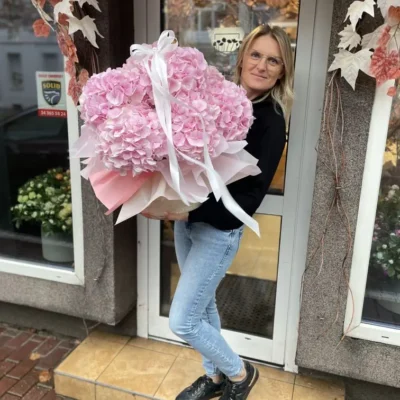 Flowerbox hortensja