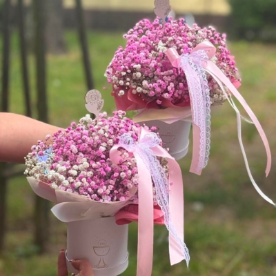 Flowerbox z Gipsówki S